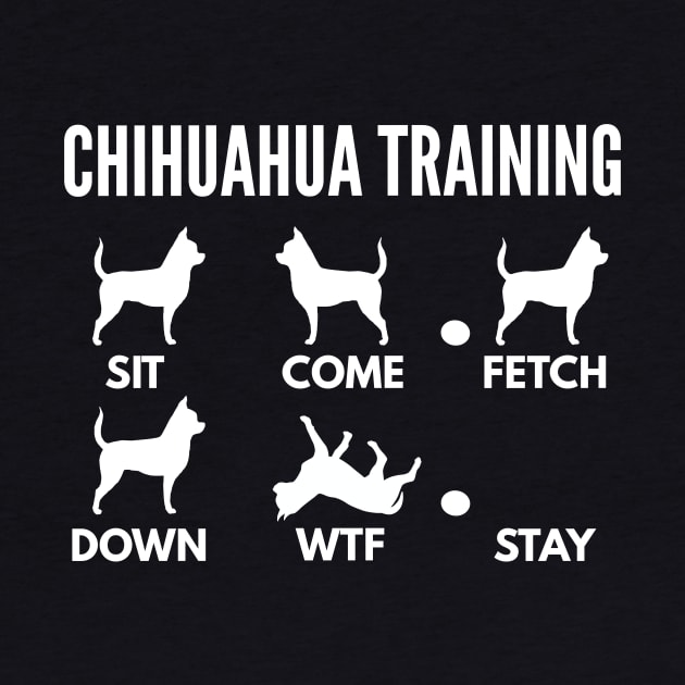 Chihuahua Training Chihuahua Dog Tricks by DoggyStyles